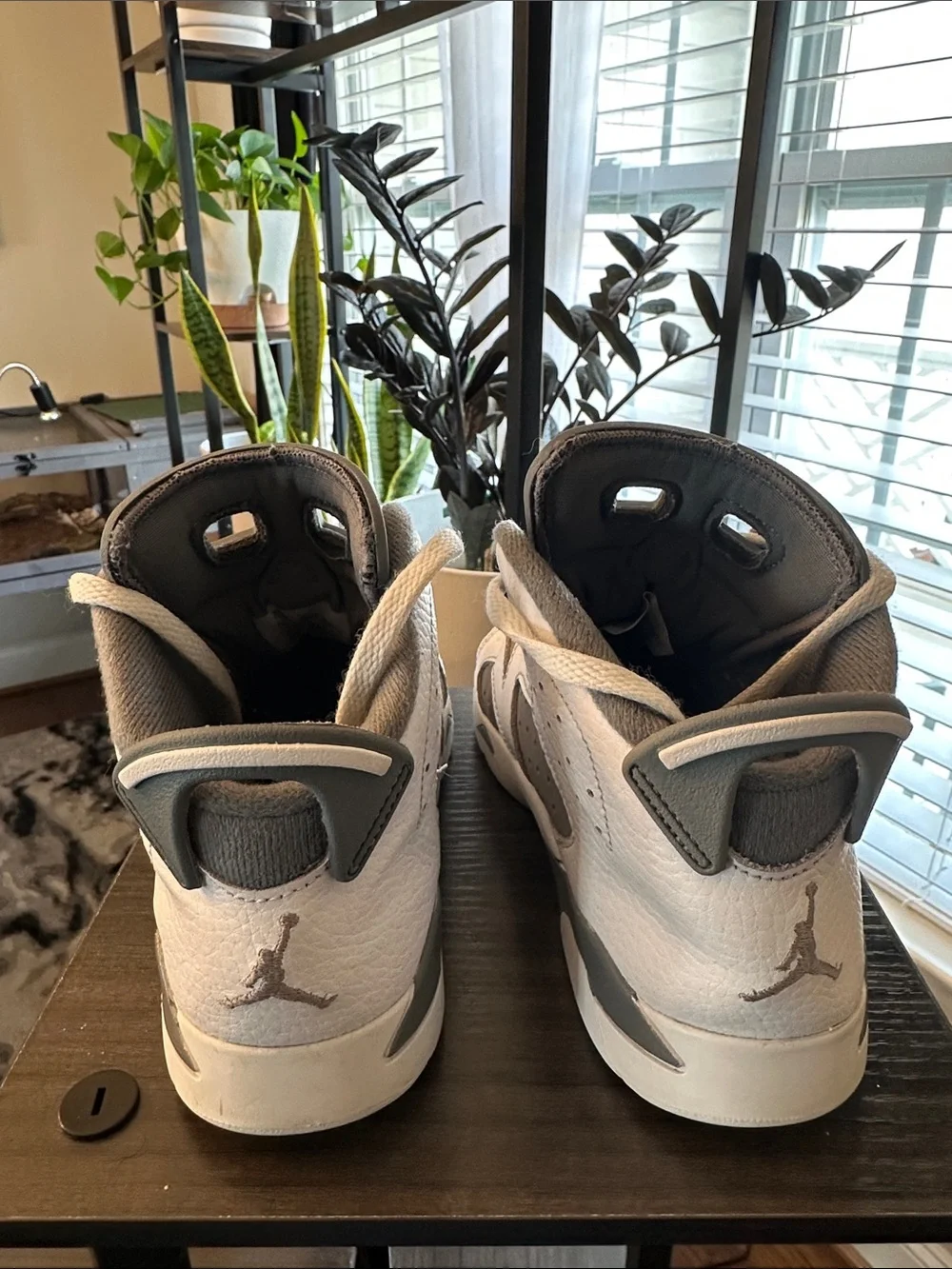 Jordan 6 Retro PS 2.5Y - Picture 3 of 4